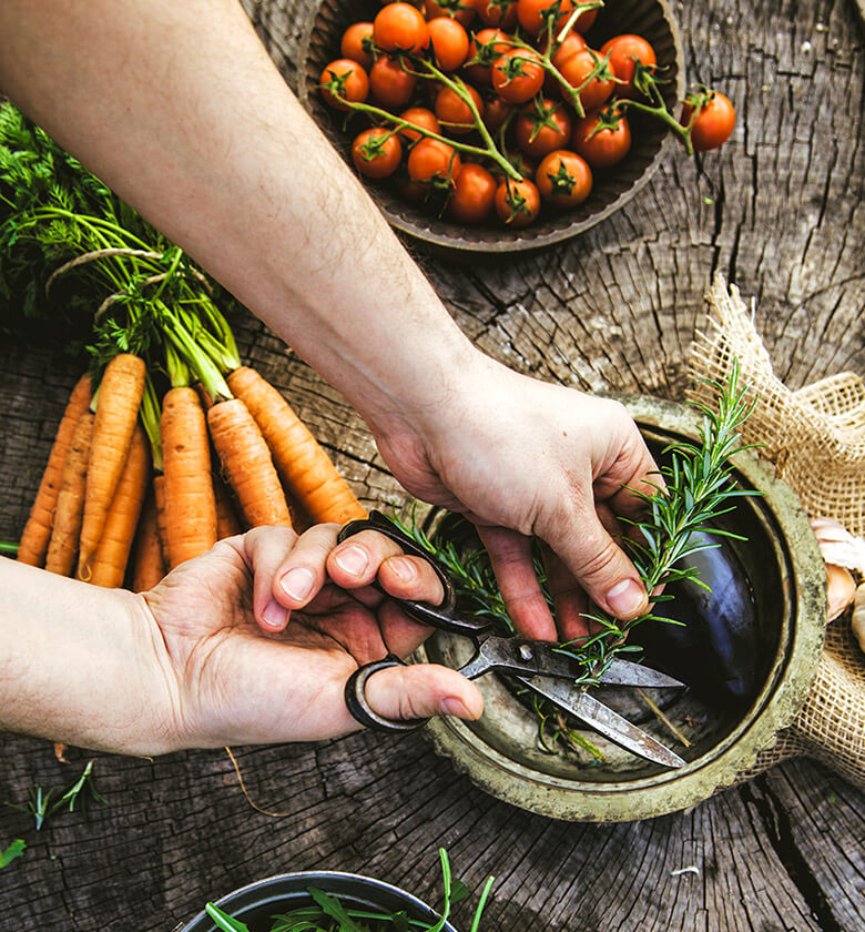 home_vegetables_contact1 home_vegetables_contact1